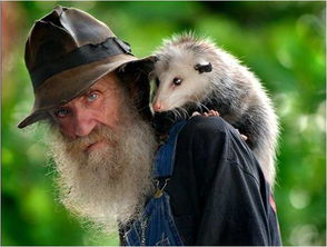 ��С����ʲô��˼ ����������������С����