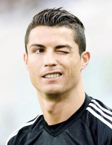 �����¶���������ʲô���� ���ϻʹ��¼������