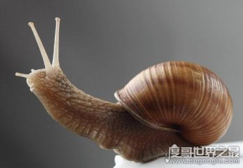 ��ţ����滹�Ǻ��� ���ں����ũ�����Σ��