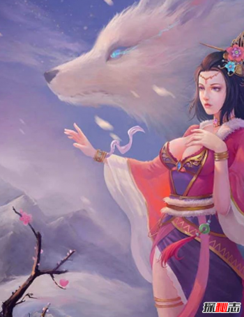 ������ʲô�ɼ� ���ɸ������������Ե�����