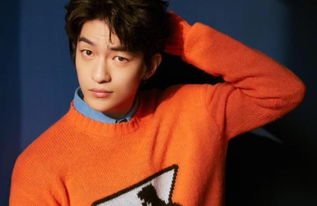 �������������ϼ�� ������ʲô����