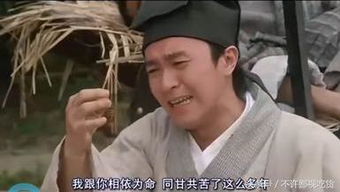 ���ǳ������������ ʲôʱ��������