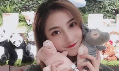 Ӣ�����˽�˵�Ĺ�������˾ �Ĺ�Ϊʲô��������˾