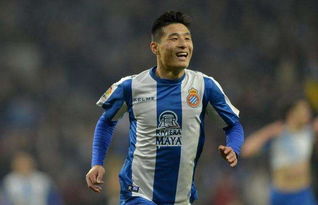 ������ʽ�������� ��ת������������