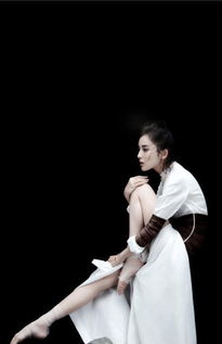 ���������ᵯ��˹�� ���һ��ֶӹ���������Ļᵯ��˹��