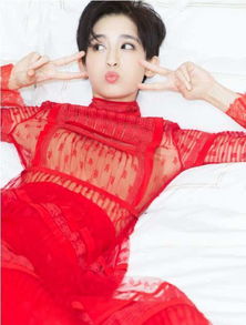 ���������ᵯ��˹�� ���һ��ֶӹ���������Ļᵯ��˹��