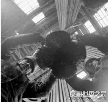 ��������40����Ƶ ����˹�ڵ���¼�¿ֲ�֮��