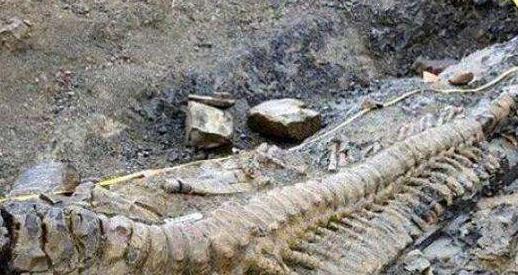 06���������˵���Ƭ����Ƶ�¼� �Ŷ��������˵���Ƭ��֤ʵ