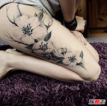 ���׵�����û�����Ƶ� ʮ�������ر��׵�����
