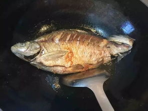 七鳃鳗能吃吗 这种鱼长什么样子