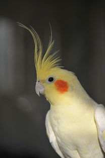 �������Ŀ��Ե����� �ǵ����û�����һ��