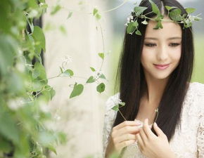 ١��櫸���������ʲô���� �ͳ�˼���Ĳ����Ӿ���ʶ��