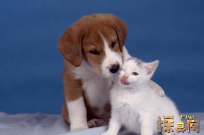 �����µ�������Ф ��Ф�����ù����µ�����