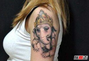 ������ļɻ�ͽ��� ̩����������ͼ������