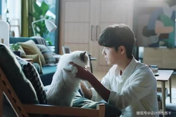 Фս��è��ʲô���� ����è��ʲôƷ�ֵ�