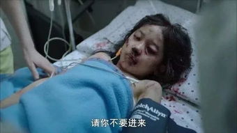 ��ʵ��������״������ ��ʵ�е�������Ӣ����ͼƬ