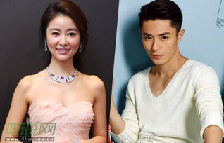 �������̥������Ϣ ��̥�����������