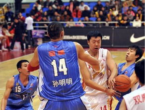 �������������ϼ�����߶��� ��Ҧ����Ӱ���߶Ա�