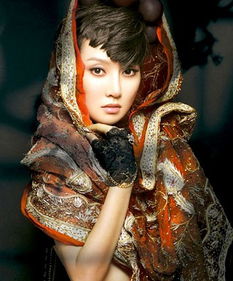 ������Ϊʲô��˵���� �������������ϼ��