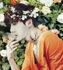 ����ѫ�����Ȱ���ʲô��� ����ѫ���۵����Ȱ͵Ļ�