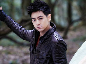 林志颖个人资料身高体重 他具体多高多重