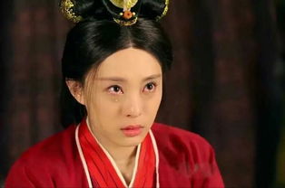 �°����м������� ��ʷ���°��ӵ���������