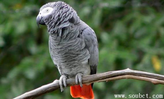 ���޻����Ĵ����� �����൱�ڶ��С��������