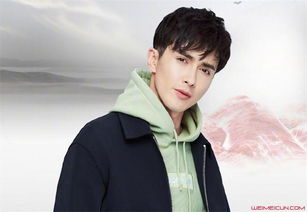 ��ΰ��������ϼ�鼰���� �������������������