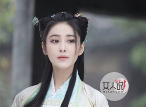 ����Ӣ�������������������� ��Ϊʲô��������