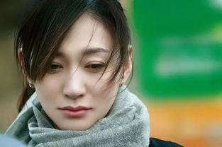 李小冉生宝宝了吗 梅婷和李小冉争的男人是谁