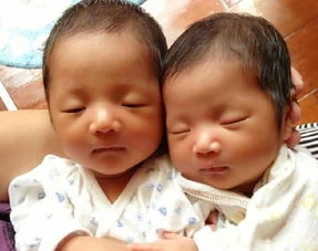 谢娜生了几个宝宝 张杰谢娜家一共几个孩子