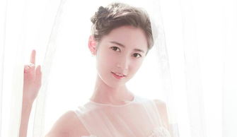 �������������ϼ�� ��1996�껹��1997���