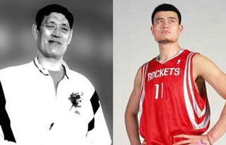 Ҧ�������������߶Ա�˭�� ����������Ҧ�����߶�����