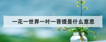 һ��һ����,һҶһ�������˼ ���͵ķ����ܶ��������ì����