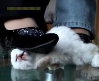 Ů��Ű�������¼����� Ű��ŮΪʲôҪŰ������