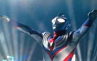 ��Ұ���������Ͻ��� ���������ڲ���