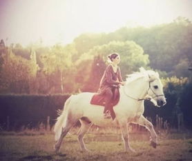 Ѧƽ�������������ĸ����� ��ʷ����������ʲô�����Ĺ���