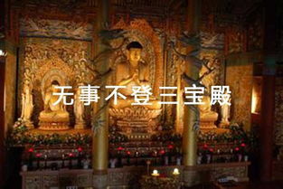 �������ָ����ʲô ���²���������������������