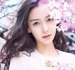 �������������� (���,����,����)�����