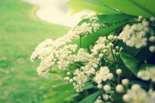 ʯ骻�Ϊʲô�Ǿ���ζ ����ζ��Ů������Ϊʲô�Ầ��