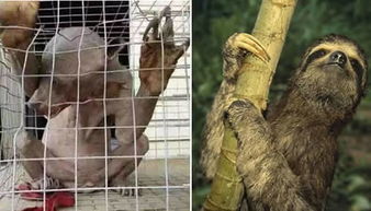 ��˵��ˮ������������ˮ���� ˮ����������������