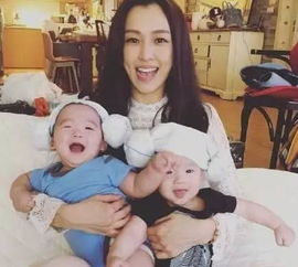 ���������ӵ����ֽ�ʲô �½��ݷ������м�������