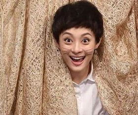 ١��Ϊ����ٳ�ݹ��ĵ��Ӿ� �����Ĺ�ϵ����