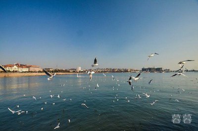 12�׾������������¼� ���׾��ֲֿ����﷢��һ������