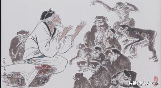 ����ĺ����ʲô��˼ ����һ����ͷ��ˣ��Ĺ���