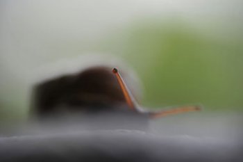 ��ţ���۾�����ʲô�ط� �۾������ĸ������Ϻ�С