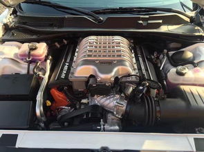 ����è��������Ǯһ̨ ������ս�ߵ���è����185������