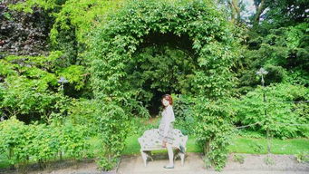 ʯ�н���Ĵ����� Ӣ����ʯ�н��Ǳ�˭���γ�����