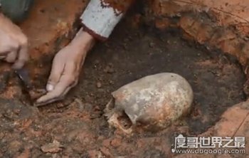 ���������ͷ�� ����˹ͷ�ǽ�������������������