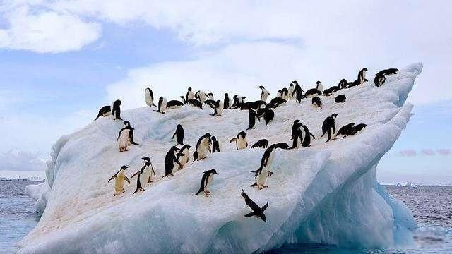 2035�����Ԥ�Է���ɥʬ Ҳֻ���ھ����������